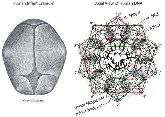 harmonics_patterns5