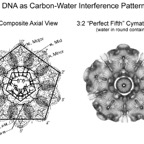 DNA Cymatic.jpg